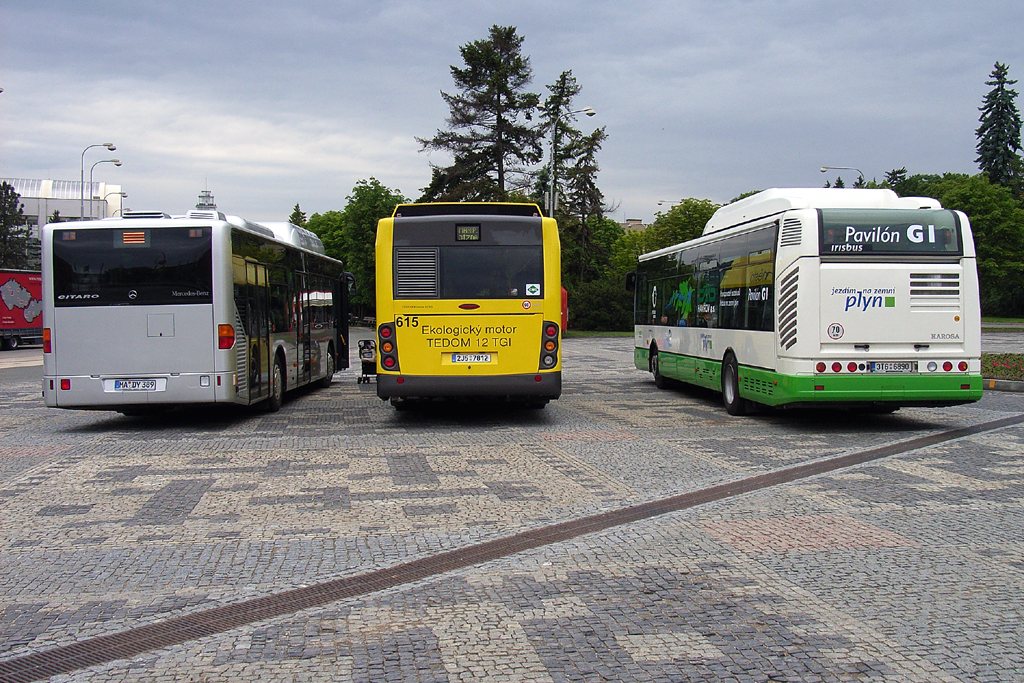 citaro-tedom-citelis_pd